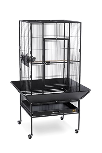 Prevue Pet Products 3352BLK Park Plaza Bird Cage, Black Hammertone