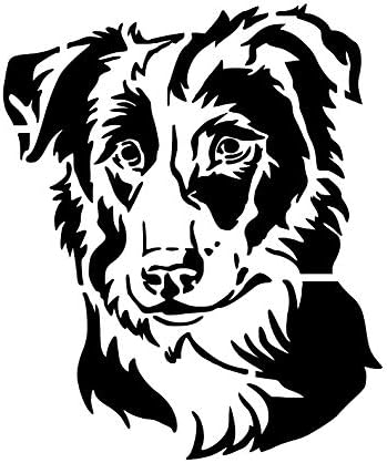 Mixed Media - BORDER COLLIE Dog Breed Face Aussie 8.5