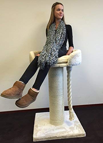 cat scratching post for big cats