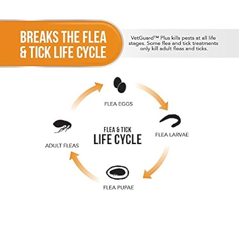 Vetguard plus flea and tick treatment Outlet