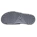 Nike Men's Jordan Hydro 5 Cool Grey Metalic Hematitie Black Slide Sandals (12 D(M) US)