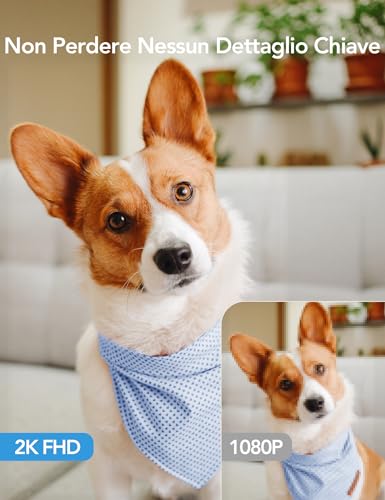 GNCC 2K Indoor Wi-Fi Camera 2.4/5GHz Night Vision (Pack of 1) | Camera for Dogs/Cats/Animals, SD/Cloud, Two-Way Audio, Motion Detection/Tracking, Alarm, 360°, Alexa