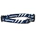 Hunter Mfg. LLP NHL Tampa Bay Lightning Adjustable Pet Collar