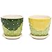 MyGift 4-Inch Decorative Green & Yellow Bamboo Designed Ceramic Flower Pots with Attached Saucer, Set of 2
