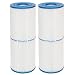 Guardian Filtration Products, Replacement Pool Spa Filter, for Unicel C-4326, Spa Filter FC2375, Pleatco PRB25, 2 Pack
