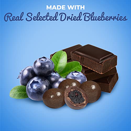 Gourmet Dark Chocolate Blueberries by It’s Delish, 1 LB Bag Dark