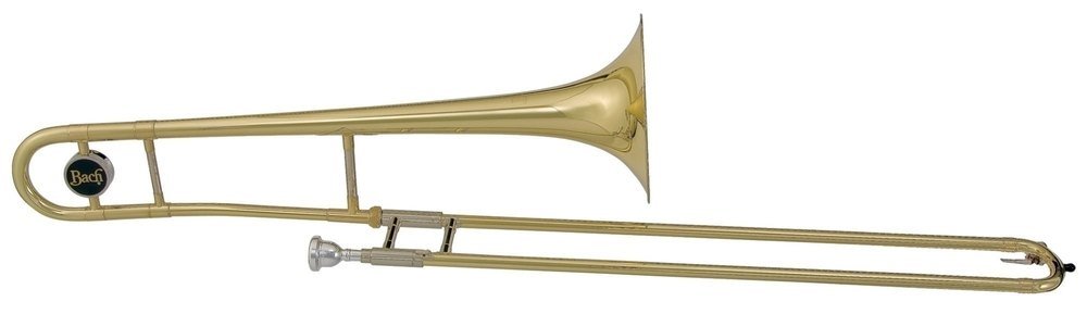 Vincent Bach Bach Trombone Cleaning and Care Product (TB301)