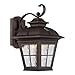 Altair SG_B072BVJFK2_US al-2163 Energy Saving LED Lantern-Brushed Patina Finsh with Clear Water Glass, Bronze