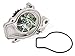 Evergreen TBK143WPT Compatible With/Replacement For 88-95 Honda Civic Del Sol 1.5 SOHC D15B1 D15B2 D15B6 D15B7 D15B8 Timing Belt Kit Water Pump