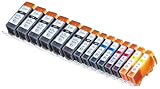14 Pack Compatible Canon CLI-221 , PGI-220 6 Big Black, 2 Small Black, 2 Cyan, 2 Magenta, 2 Yellow for use with Canon PIXMA iP3600, PIXMA iP4600, PIXMA iP4700, PIXMA MP560, PIXMA MP620, PIXMA MP620B, PIXMA MP640, PIXMA MP640R, PIXMA MX860, PIXMA MX870. Ink Cartridges for inkjet printers. CLI 221BK , CLI 221C , CLI 221M , CLI 221Y , CLI-221BK , CLI-221C , CLI-221M , CLI-221Y , CLI221BK , CLI221C , CLI221M , CLI221Y , PGI 220BK , PGI-220 BK , PGI-220BK , PGI220BK © Blake Printing Supply