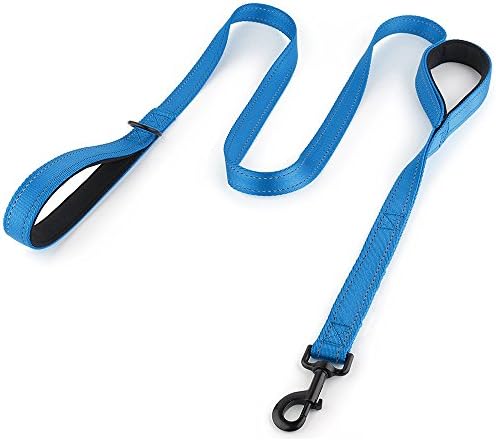 Dog leash, 5ft long nylon with traffic padded handle dog leash lead,heavy duty leash for large or medium dog - dual handles(Blue)