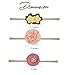 Prohouse 10PCS Baby Nylon Headbands Hairbands Hair Bow Elastics for Baby Girls Newborn Infant Toddlers Kids (10PCS Flower)