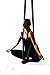 DASKING Premium Aerial Yoga Hammock Kit Flying Yoga Silk Kit (Dark Green)
