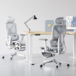 FLEXISPOT ErgoX Premium Ergonomic Office Chair with