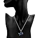NFL Siskiyou Sports Fan Shop Detroit Lions Chain Necklace 22 inch Team Color