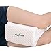 Big Ant Knee Pillow