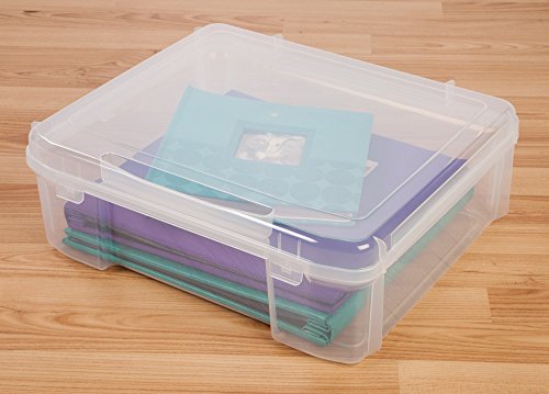 3 IRIS+Portable+Project+Case+Paper