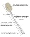 Swissco Deluxe Bath Brush - Clear