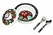 Sugarbooger Covered Suction Bowl Gift Set, Dia de Los Muertos