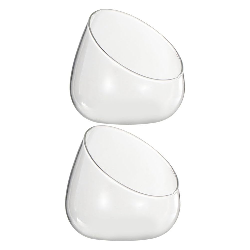 Kichvoe 2pcs Glass Air Plant Terrarium, Succulent Cactus Plant Vases Hydroponic Planter Vase Globe Air Planter Vase Micro Landscape Bottles for