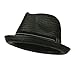 Men's Paper Woven Straw Fedora - Black