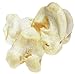 Natural White Knuckle Bone - 42K002 - Bci