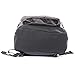 JanSport Classic Super Fx