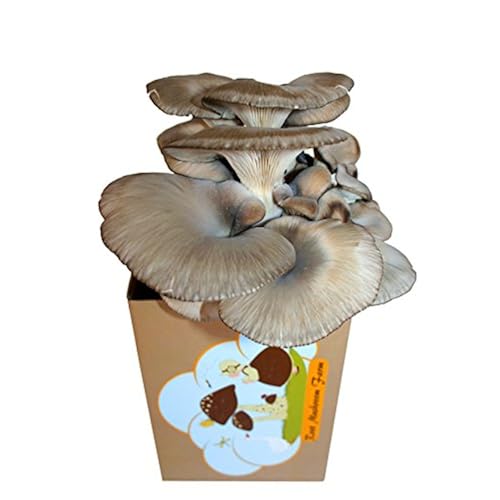 unique gift ideas on amazon related to Patio, Lawn & Garden huge collection of products that are Plants, Seeds & Bulbs, under $20, under $25, cool items