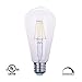 Aogist 6W Vintage Sapphire Dimmable LED Filament Light Bulb, 2700K Warm White 600LM, E26 Medium Base Lamp, ST64 (ST19) Antique Shape, High Light Efficiency,60W Incandescent Replacement UL Listed