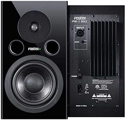 fostex pm1