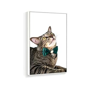 Framed Canvas Wall Art for Living Room, Bedroom Humorous Cat Canvas Prints for Home Decoration Ready to Hanging - 16x24 inches