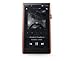 Astell&Kern A&Ultima SP1000 High Resolution Music Player - Copper