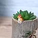 TINKSKY Cute Hedgehog Flower Sedum Succulent Pot Planter Bonsai Trough Box Plant Bed Office Home Garden Pot Decoration
