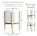 Mid Century Modern Plant Stand – Fits Large 12 & 13 Inch Planter Pots (NOT Included) – Handmade Wood Standing Holder for Indoor House Plants and Outdoor Patio Deck – Clear Coat Pine Colorthumb 2