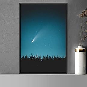 signwin Framed Canvas Wall Art Beautiful Landscape Canvas...