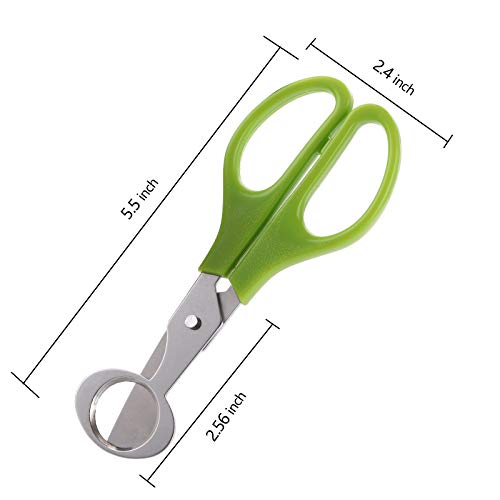 Yarlung 12 Pack Stainless Steel Quail Egg Scissors, Pigeon Egg Cutter