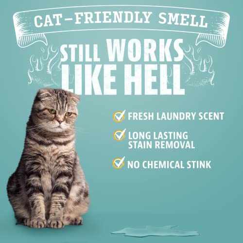 ANGRY ORANGE Cat Urine Odor Eliminator & Stain Remover Stain Cleaner