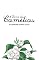 Livro A dama das Camélias