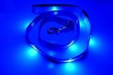 GoDoggie-GLOW Rechargeable USB Dog Leash, Blue