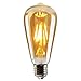 Edison LED Bulb, Amber 6W Vintage Edison LED Filament Light Bulb Edison lamp, 2800K Daylight (Warm White), 60W Incandescent Equivalent, E26 Base Lamp for Restaurant,Home,Reading Room,Office Pack of 1