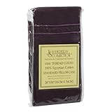 Queen Size Eggplant 2pc PILLOW CASES 1500 Series - Standard 20