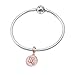 PAIYUAN Rose Gold Zodiac Sign Charms 925 Sterling Silver Constellation Dangle Charm for European Bracelet (Scorpio)