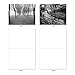 The Best Card Company - Box of 10 All Occasion Cards Blank (4 x 5.12 Inch) - Scenic Landscape Cards Assorted - Tree Lines M3313-NB