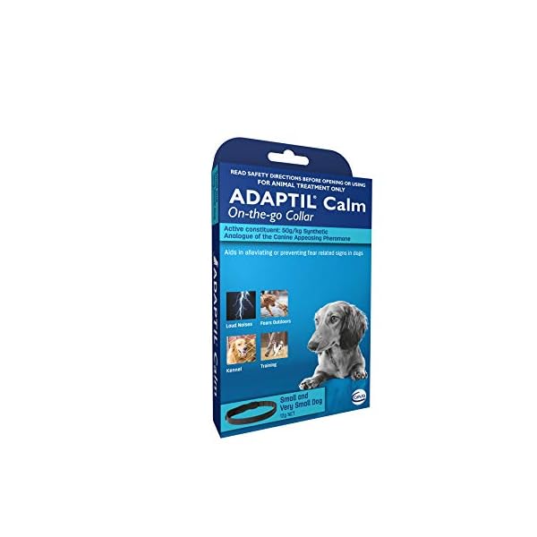 pheromone collars for dogs australia