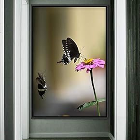signwin Framed Canvas Wall Art Butterflies Butterfly Colorful...