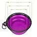 IDEGG Portable Silicone Pet Bowl, 5 Inches, Foldable Expandable Water Feeding Travel Bowl Cup Dish for Pet Dog Cat and Small Animals (Set of 2, Purple+Green)