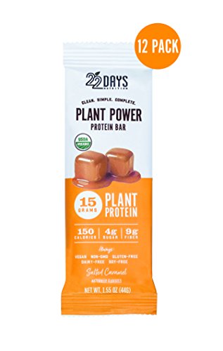22 Days Nutrition Organic Protein Bar, Salted Caramel, 12 Count | Plant Based Protein Bars, Gluten Free, Vegan, Soy Free, Real Food, Dairy Free, 15g Protein, Low Sugar (4g), Fiber (9g)