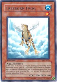 Yu-Gi-Oh! - Treeborn Frog (SOI-EN025) - Shadow of Infinity - 1st Edition - Rare
