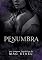 Livro Penumbra