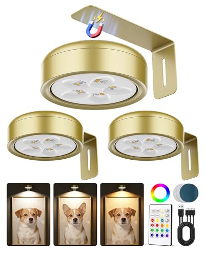 Picture Lights